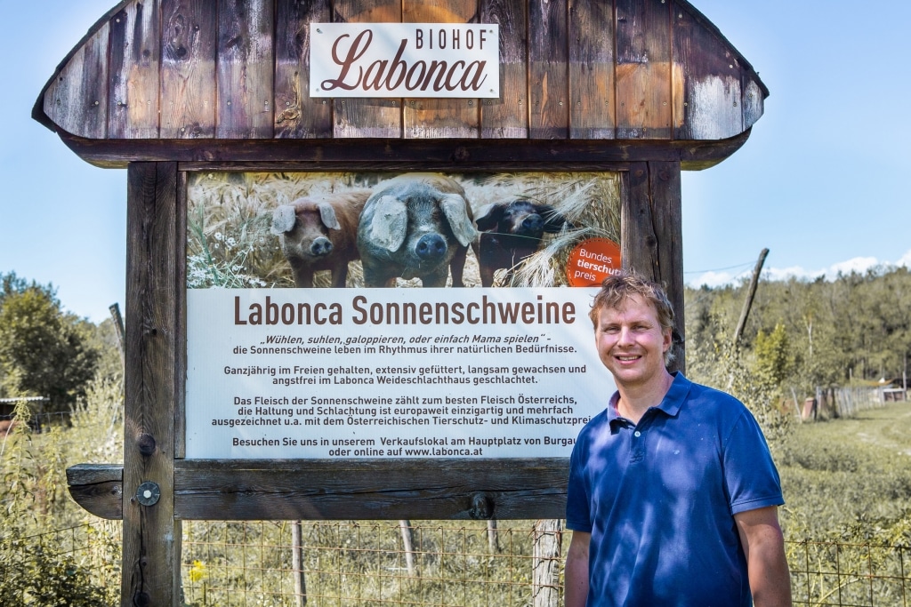 Lieferant Labonca Biohof Sonnenschweine