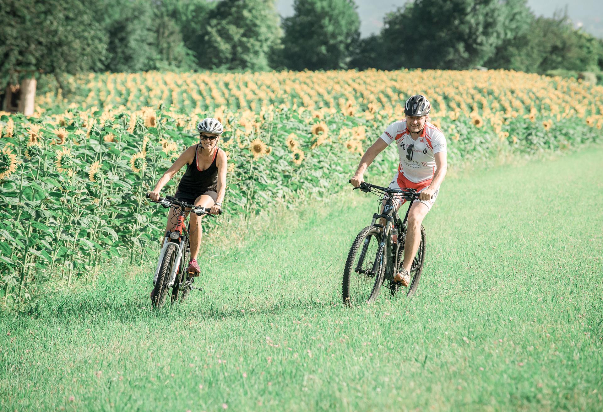 Biken und Radfahren in der Oststeiermark