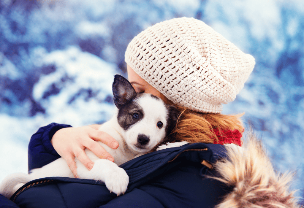 Hundeurlaub im Winter beim Retter