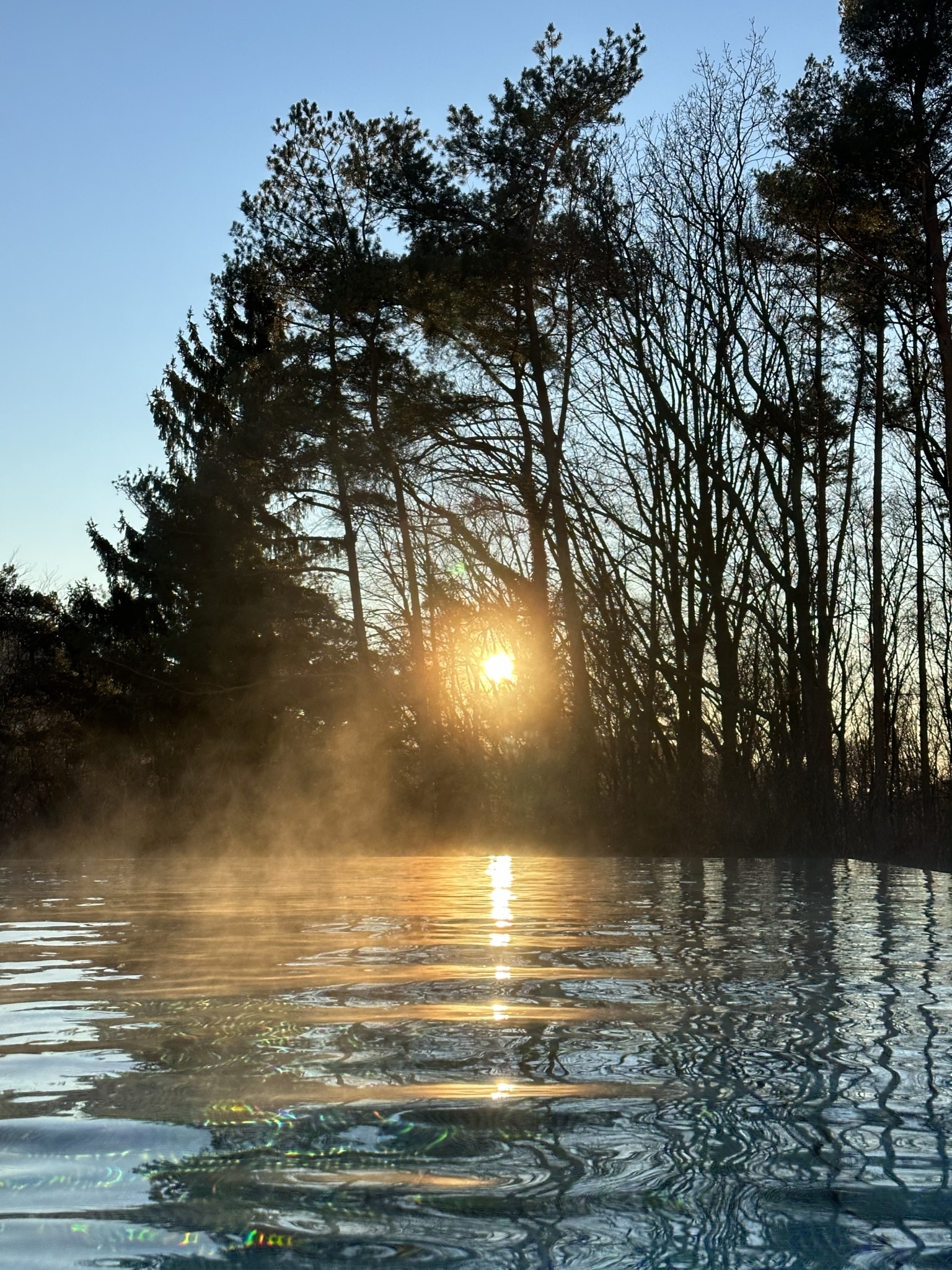 Sonnenaufgang im Wald Pool BIO_ORGANIC_SPA im RETTER BIO-Natur-Resort_UR