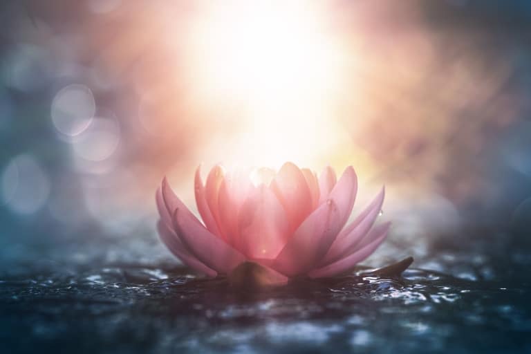 LEBE LACHE MEDITIERE Wohlfühl-Wochenende BHASKARA – Entdecke dein inneres Leuchten